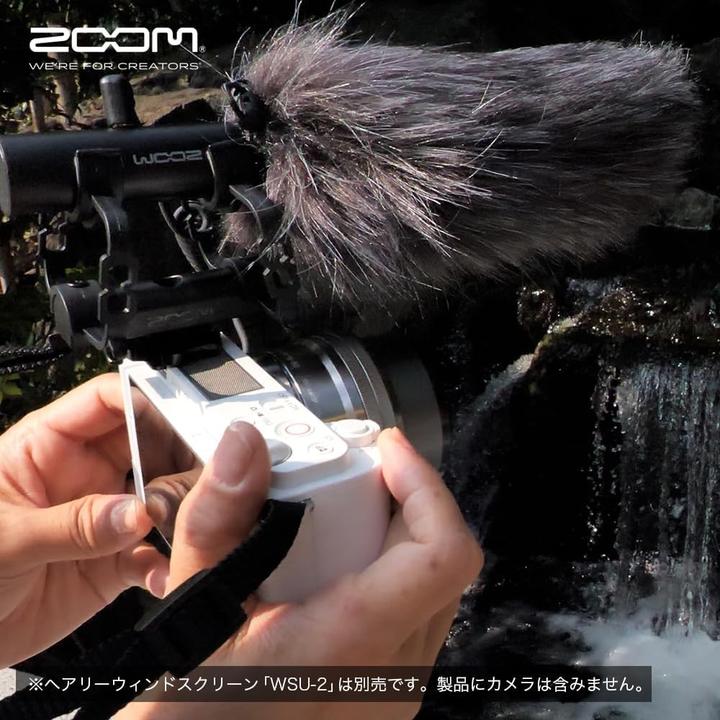 Actual product image Zoom ZSG-1