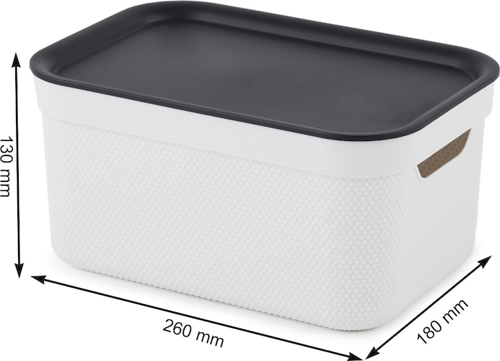 Produktbild Rotho Jive (26 x 18 x 13 cm, 5 l)