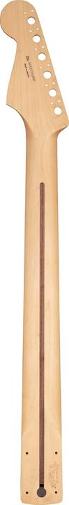 Image du produit Fender Manico Serie Player con Pau Ferro