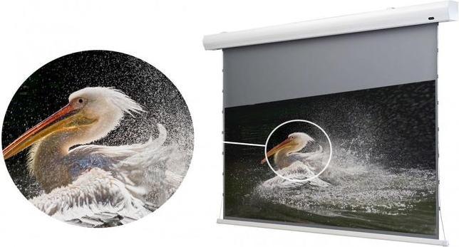 Image du produit Celexon HomeCinema Dynamic Slate ALR (120", 16:9)