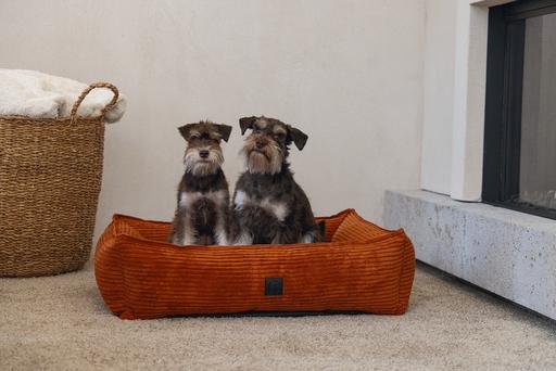 Actual product image Designed by Lotte Ribbed (Dog)