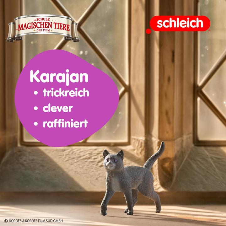 Actual product image Schleich Kater