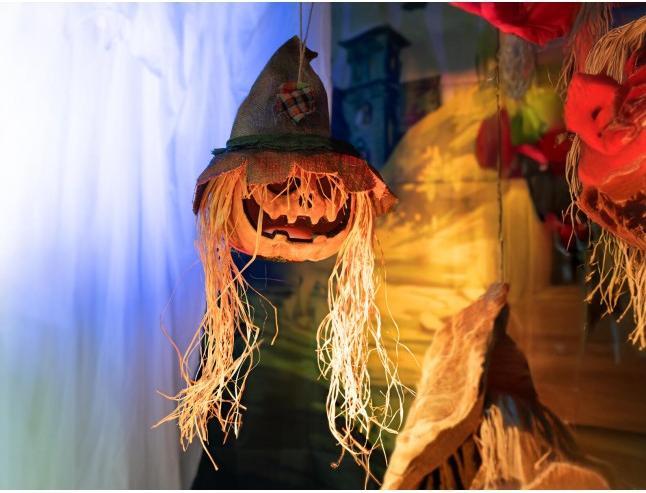 Produktbild Europalms Halloween Verfluchter Kürbiskopf, 70cm