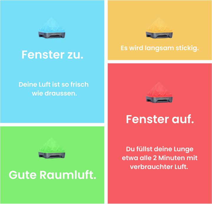 Actual product image QE Wuerfeli (Swiss Made)