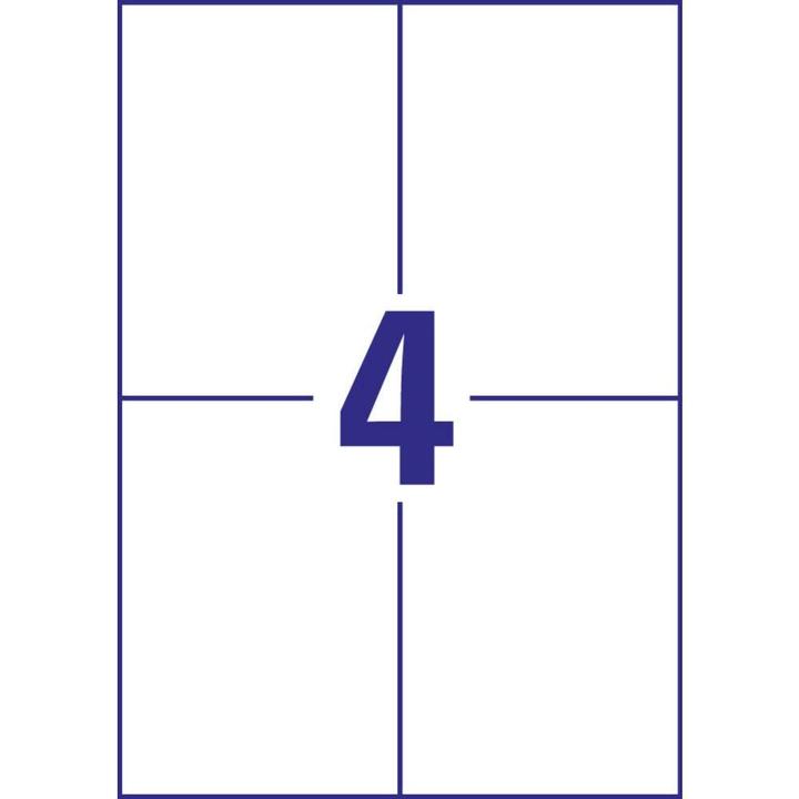 Image du produit Avery Universal-Etiketten