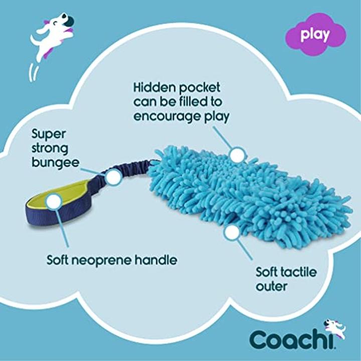 Actual product image Company of Animals Coachi reward game Tuggi Hide (Dog activity toy)