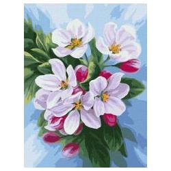 Ideyka Malen nach Zahlen - Apfelblüte