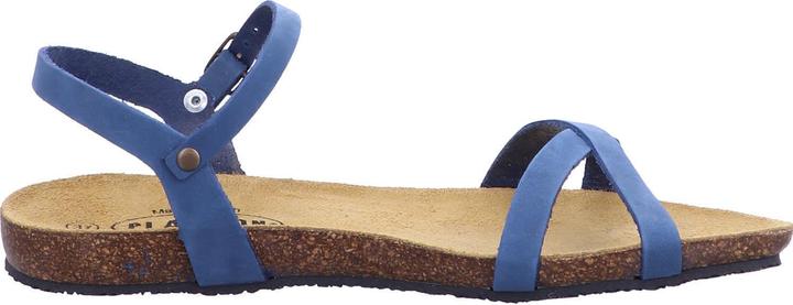 Immagine prodotto Plakton 575029 Limnea (40)