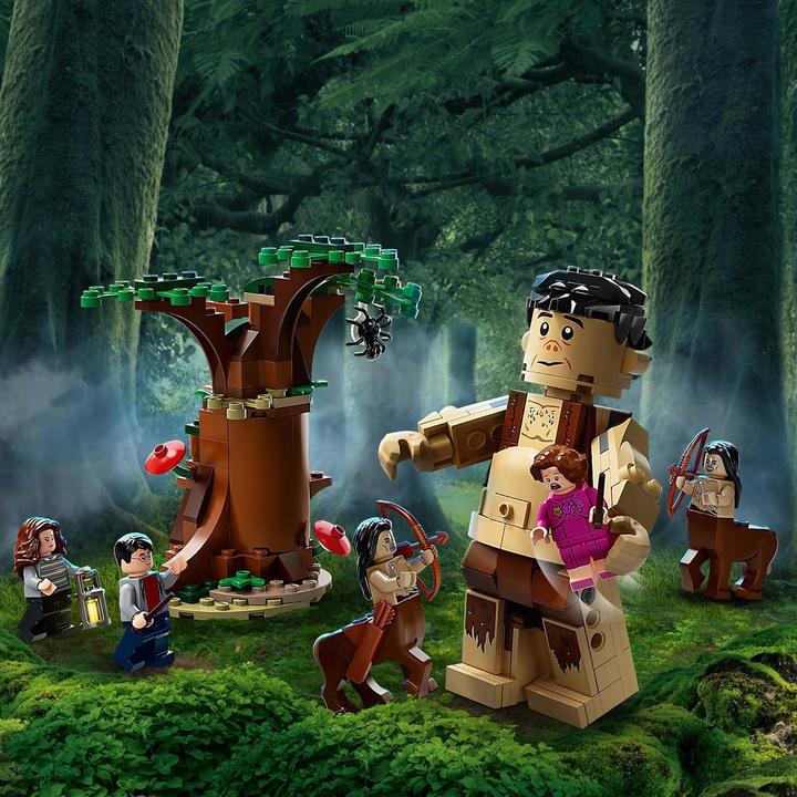Image du produit LEGO La forêt interdite : rencontre avec l'omble (75967, LEGO Harry Potter)