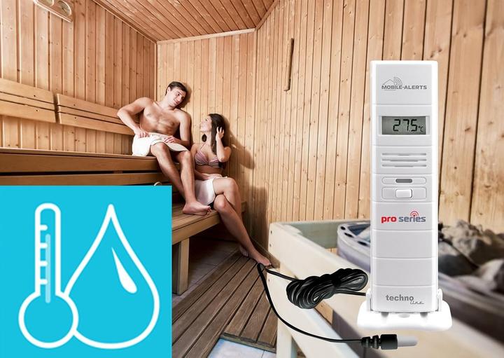Actual product image Technoline Temp with probe/humidity Pro