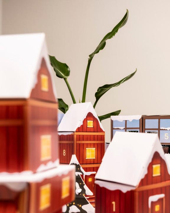 Actual product image feey Pflanzen Adventskalender (60 cm)