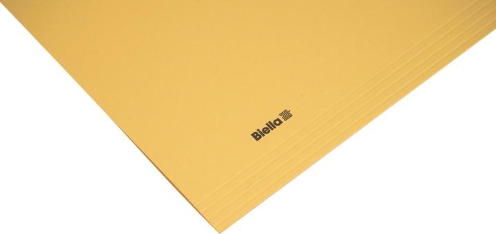 Image du produit Biella Dossier vertical pour le format A4 (A4, 1 x)