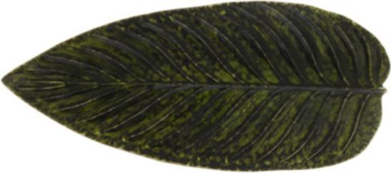 Image du produit Costa Nova Riviera (1 x, 17.20 cm)