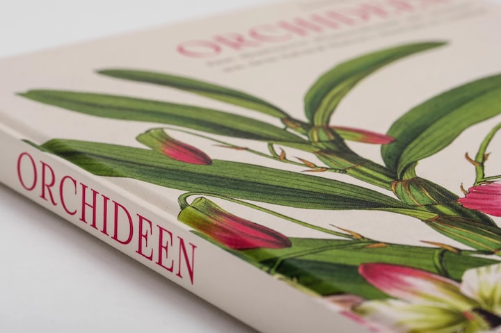 Actual product image Orchideen (German, Sandra Knapp, 2022)