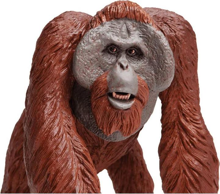 Image du produit Safari Wlw Borneo Orang-outan