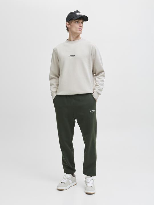 Actual product image Jack & Jones Jjesoho Sweat Crew Neck Noos (XL)