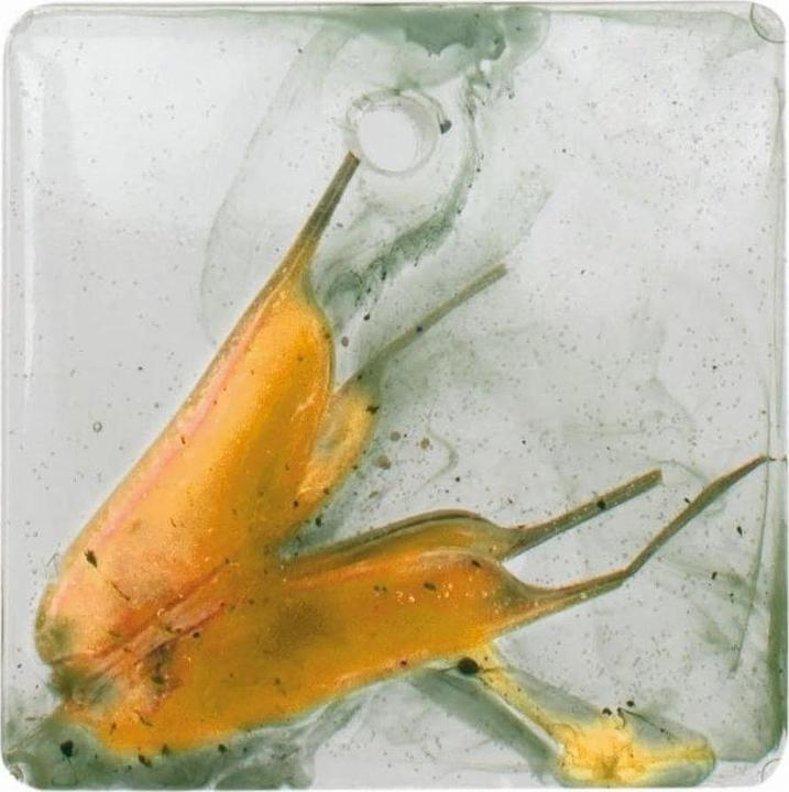 Actual product image Glorex Silicone mould 15.5 x 11.5 cm, 12 pieces, pendant
