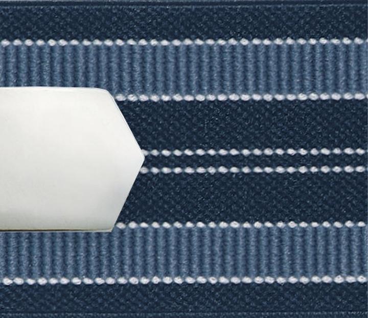 rayures bleues marine