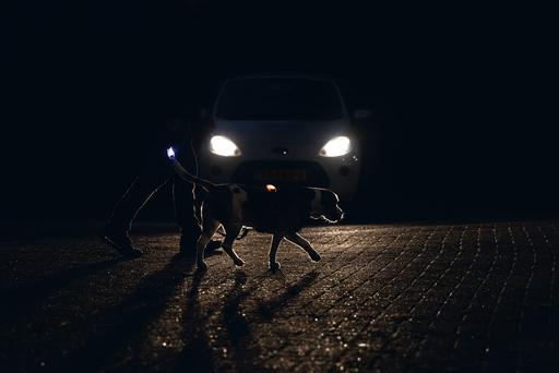 Produktbild Beeztees Safety Gear Y-geschirr (Hund, Allgemein)