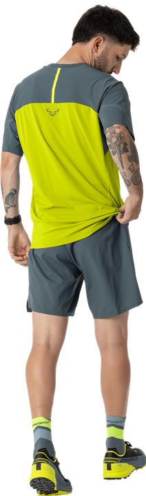 Produktbild Dynafit Alpine Shorts (46, S)