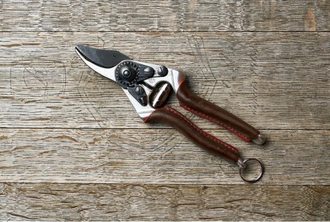 Produktbild Felco 6 Elite Gartenschere für mittelgrosse Hände, für Rechtshänder