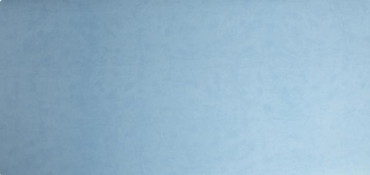 Image du produit Exacompta Sous-main (90 x 43 cm)