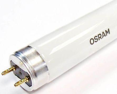 Image du produit Osram Lena (G13, 36 W, 3350 lm, 1 x, B)