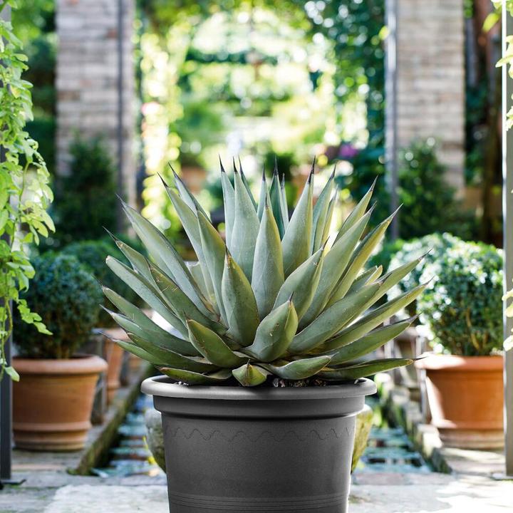 Actual product image Euro3plast Geo (20 cm)