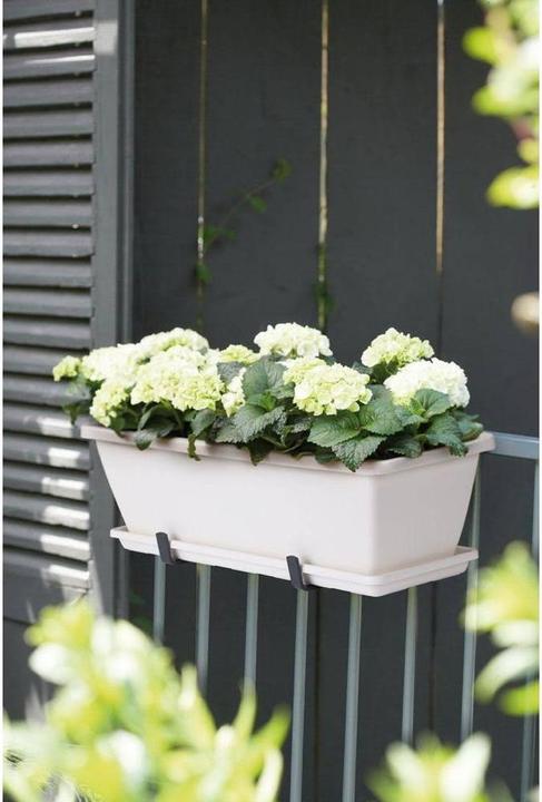 Immagine prodotto Elho Barcellona