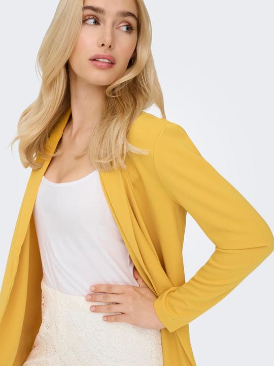 Produktbild JdY JDYGEGGO Blazer Blazer (XS)