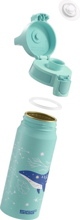 Actual product image Sigg WMB One (0.60 l)