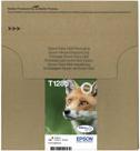 Actual product image Epson EasyMail MP Fox DURABrite Multipack Ultra CMYK (C, FC, M, Y)