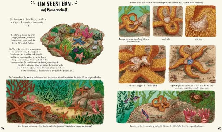 Produktbild Wunder der Natur zum Innehalten und Staunen (Deutsch, Freya Hartas, Rachel Williams, 2020)