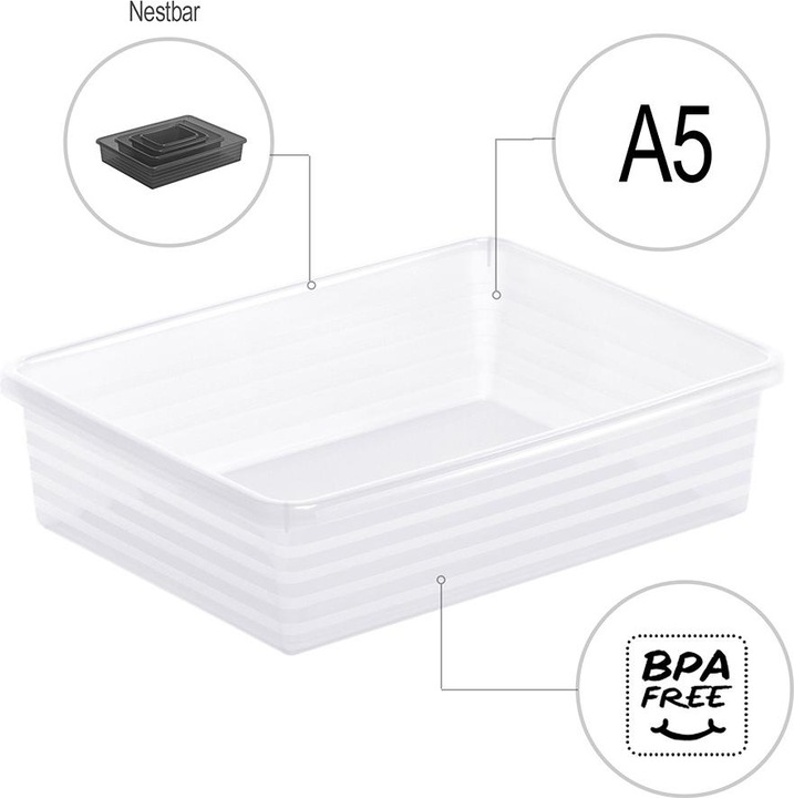 Immagine prodotto Rotho Linus (19,5 x 6 x 25,5 cm, 0 l)