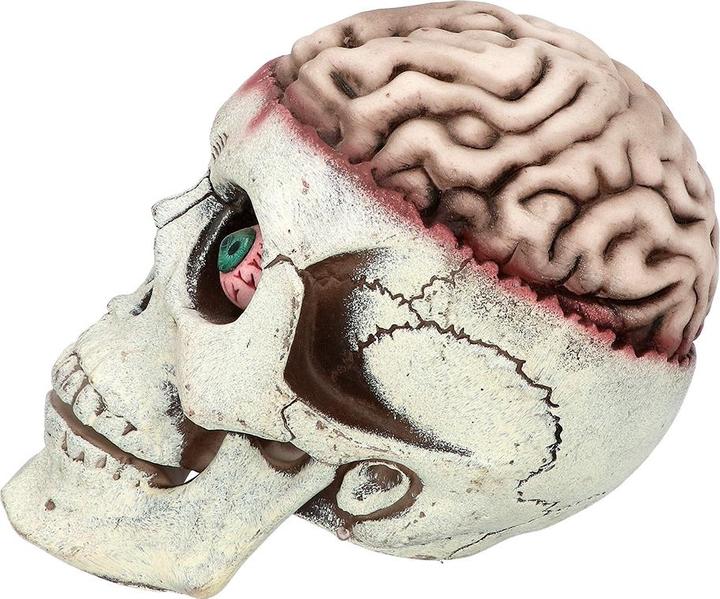 Produktbild Boland Schädel Brain Dead mit beweglichem Kiefer (1 Stk.)