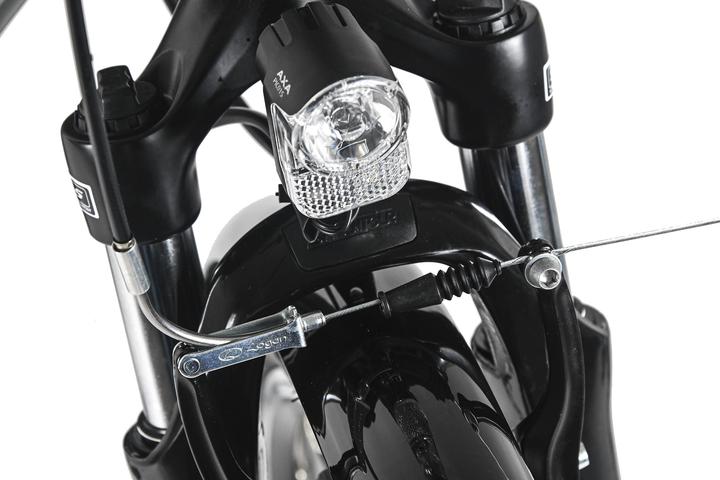 Produktbild Trekkingrad Damen 28" Firenze 100 21 Gänge RH 48 cm (48 cm)