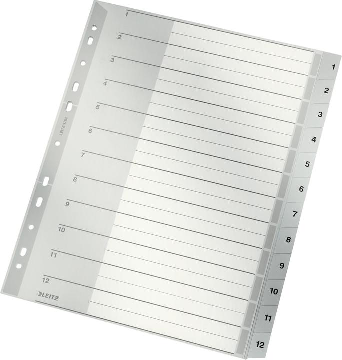 Produktbild Leitz Register PP grau