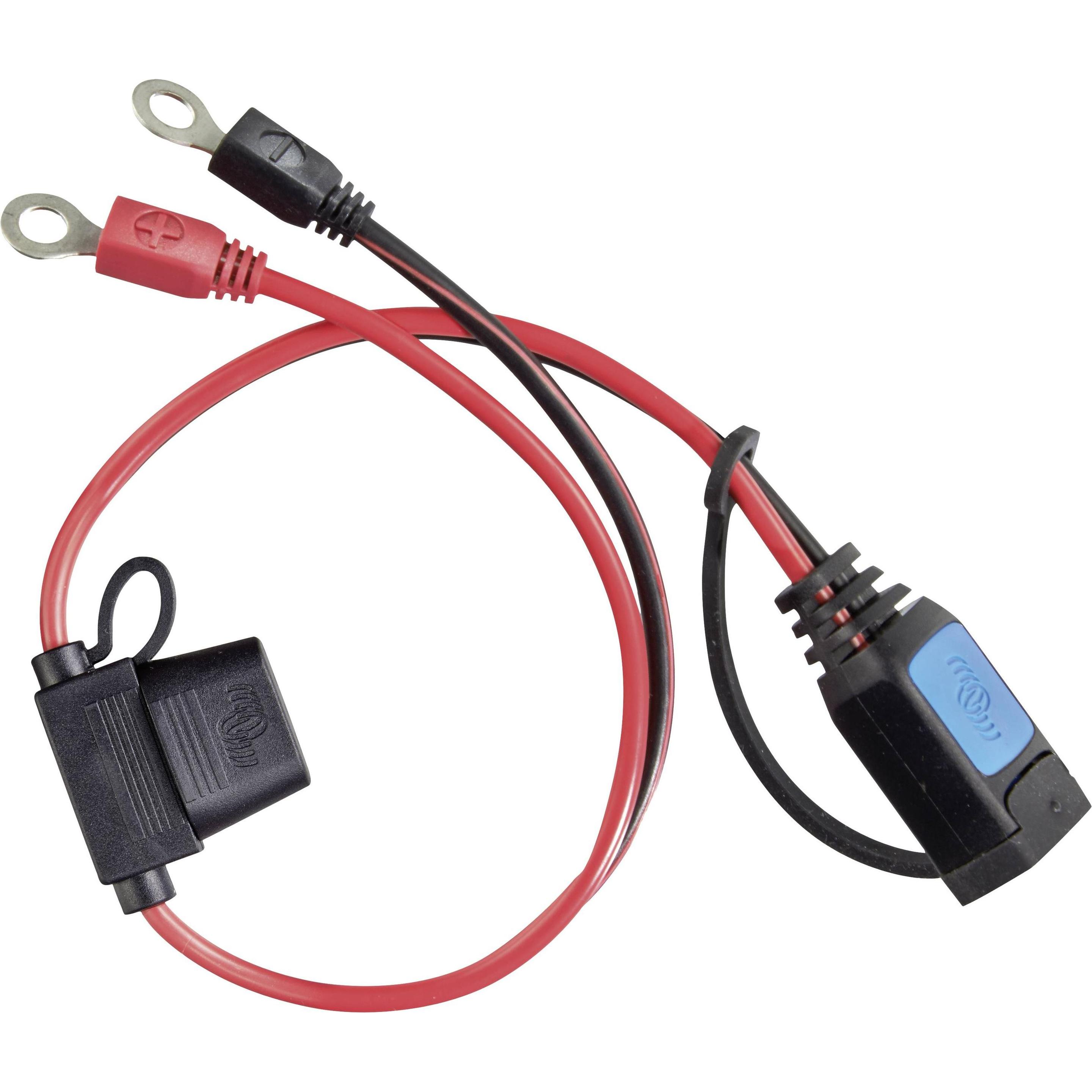 Victron Energy, Accessori per batterie auto, M6 Ringkabelschuh (mit 30A ATO Sicherung)