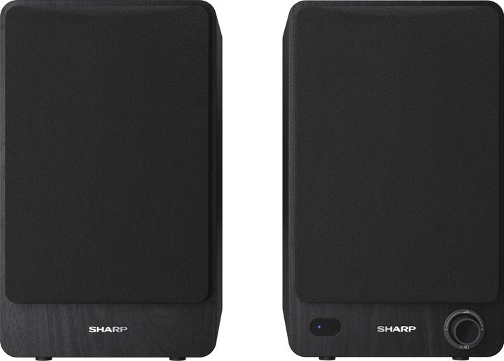 Actual product image Sharp CP-SS30 (1 pair, 60 W)