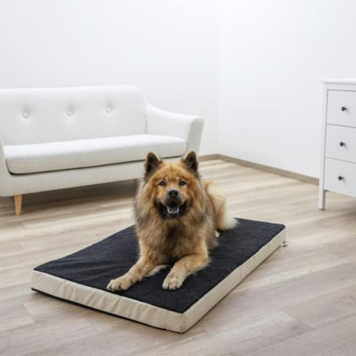 Actual product image Kerbl Mattress (Cat, Dog)