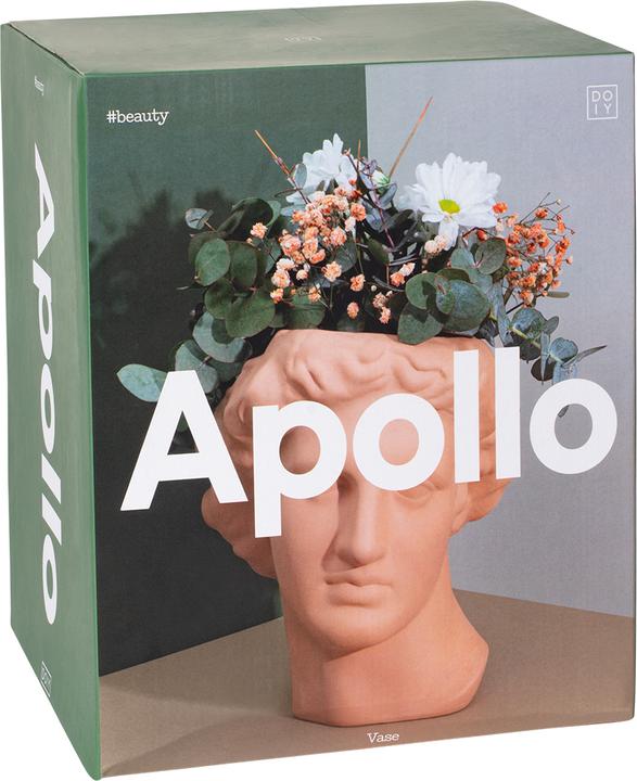 Image du produit Doiy Apollo Vase (1 x)