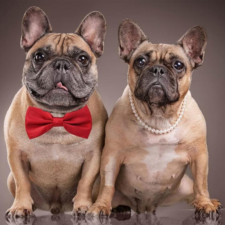 Actual product image Suba Set of 3 Dog Collars with Bow Tie (Dog life jacket)