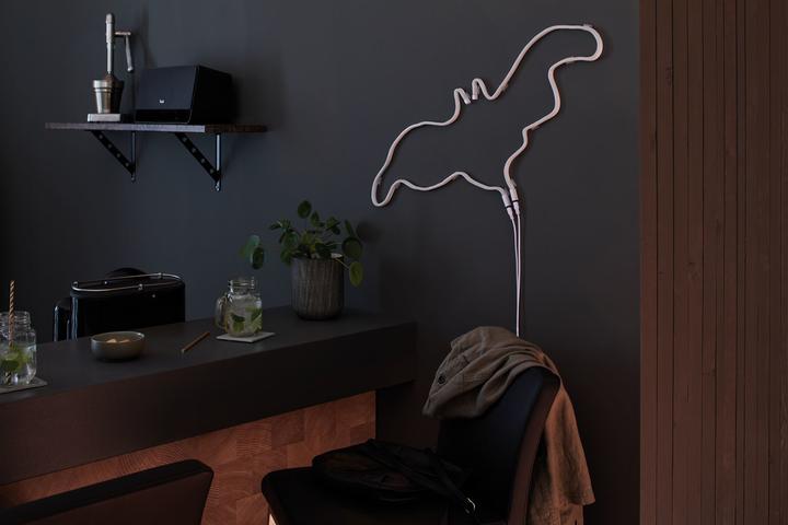 Immagine prodotto Paulmann Neon Colorflex (Arancia, 100 cm, Interno)
