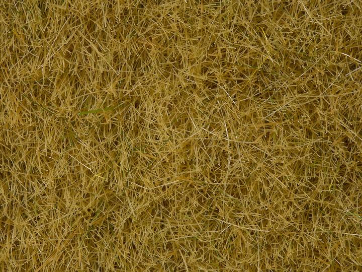 Produktbild Noch Wildgras 07101 Beige