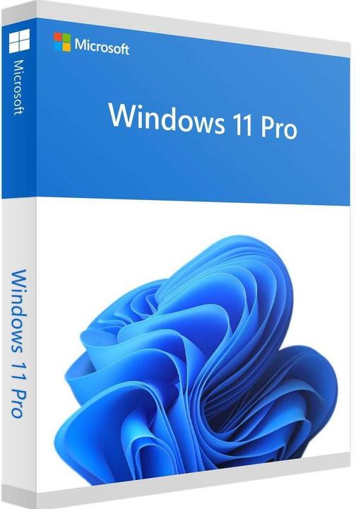 Actual product image Microsoft Windows 11 Pro (EN) (1 User, unlimited)