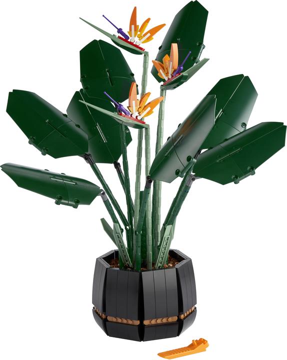 Actual product image LEGO Bird of Paradise (10289, LEGO Rare Sets)