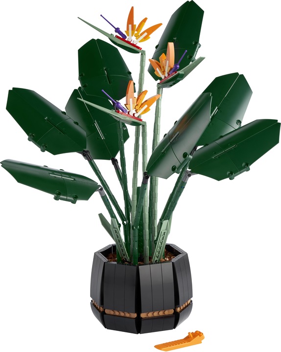 Actual product image LEGO Bird of Paradise (10289, LEGO Rare Sets)