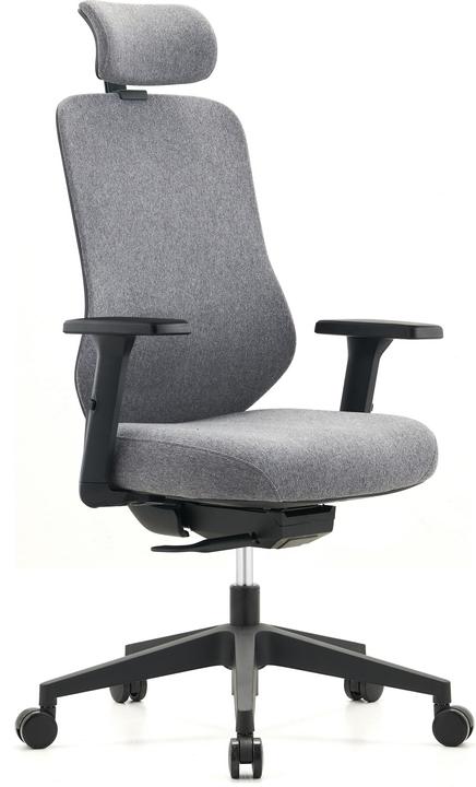 Actual product image Ergowork Manager office chair, gray (41.90 - 49.80 cm)