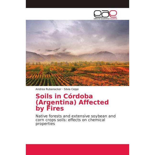 Soils in Córdoba (Argentina) Affected by Fires, Fachbücher von Silvia Ceppi, Andrea Rubenacker