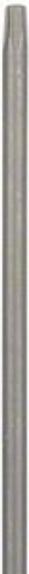 Productafbeelding Bosch Torx bit T 15 Accessoires extr (Zeskantbus TX)